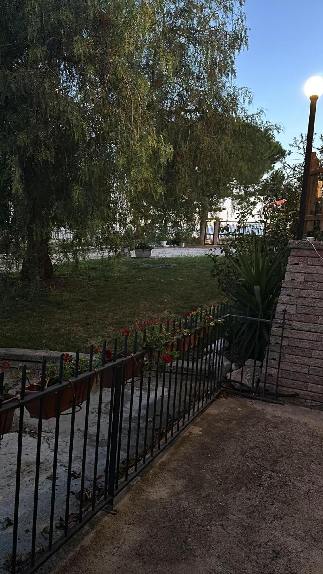 Bed and Breakfast Pepe rosa Térmoli Exterior foto