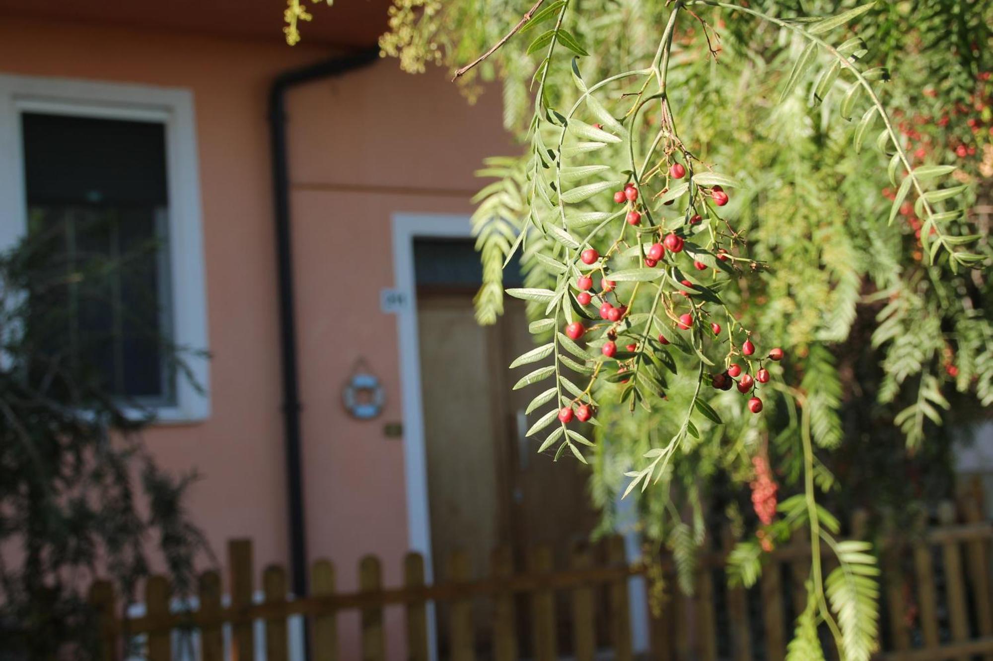 Bed and Breakfast Pepe rosa Térmoli Exterior foto