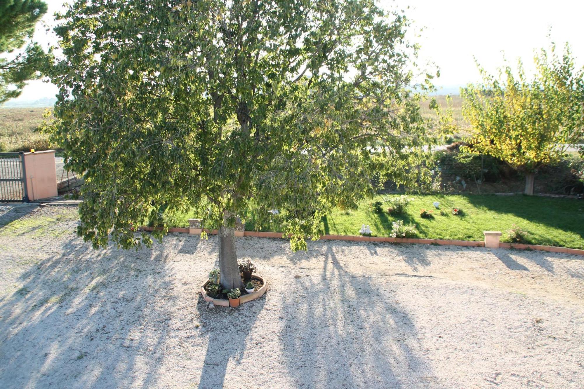Bed and Breakfast Pepe rosa Térmoli Exterior foto