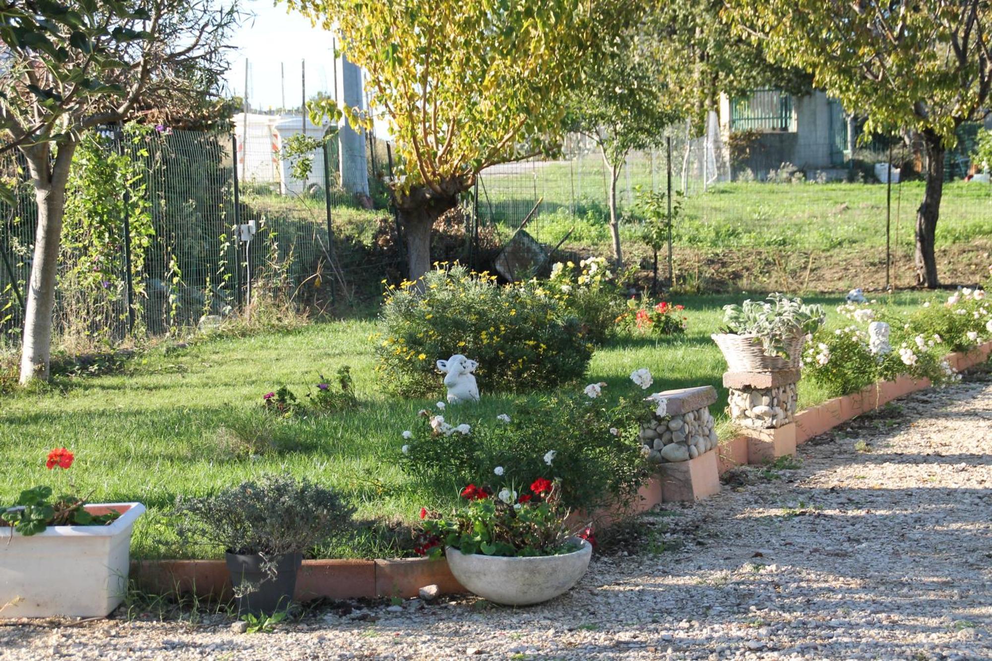 Bed and Breakfast Pepe rosa Térmoli Exterior foto